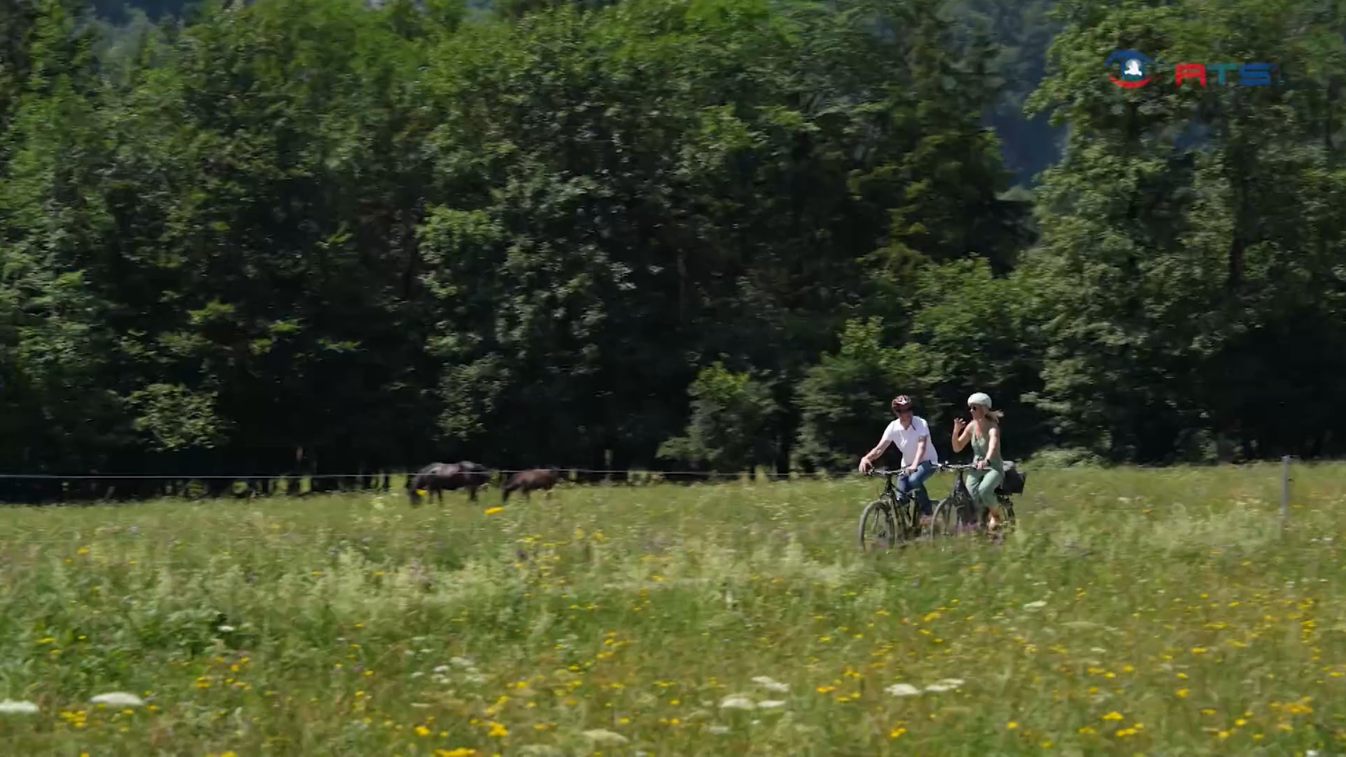 naturpark-kuehschwalb-kuchl-zeigt-seine-stille-seite