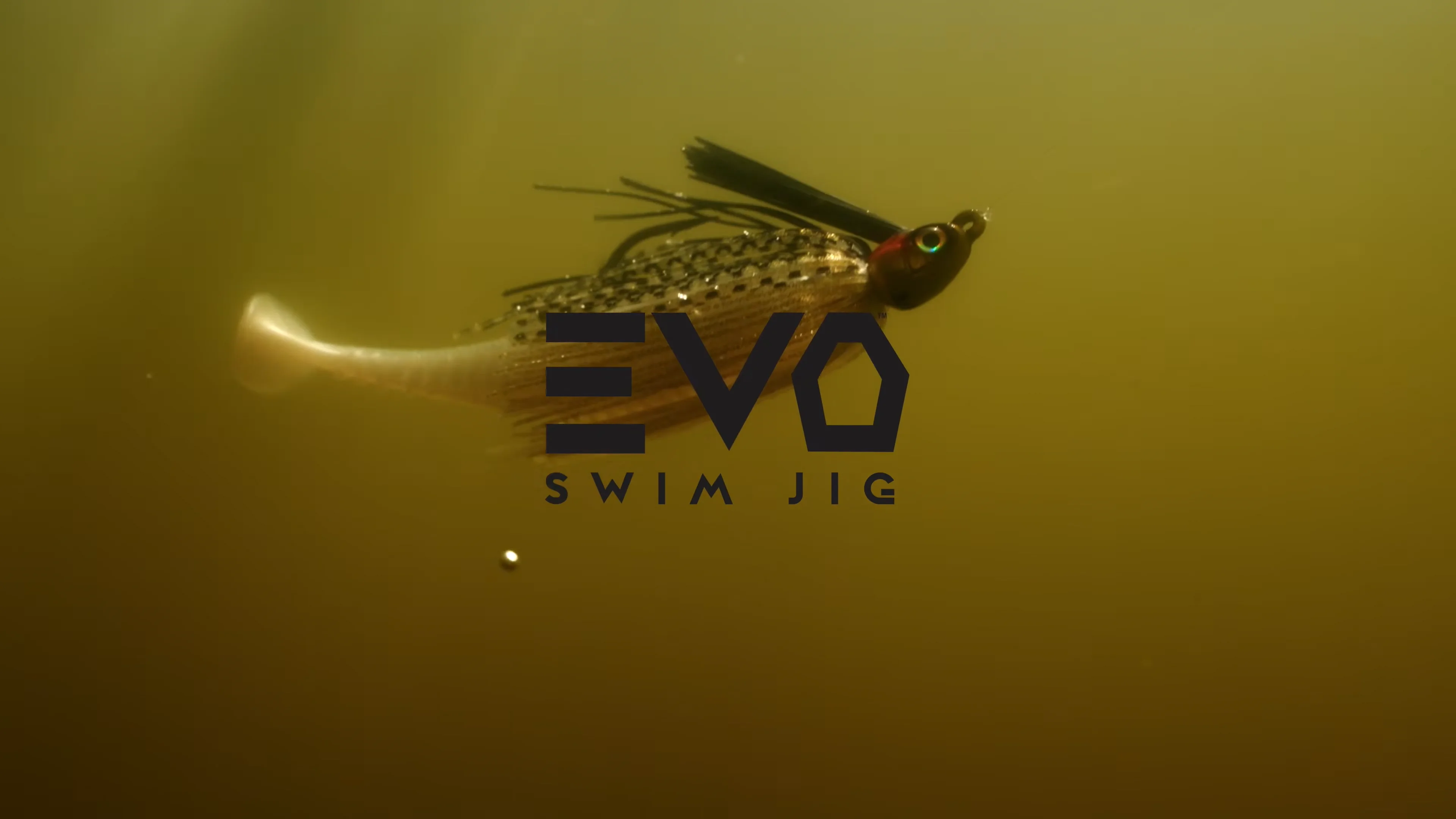 カミシモJIGの8本セット Z-Man Evo Swim Jig — Discount Tackle