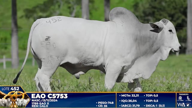 Lote 452