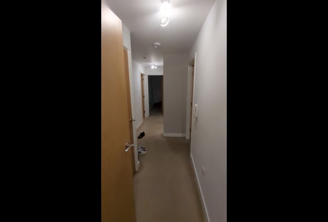 Video 1: 