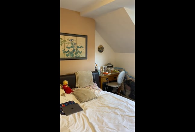 Seek 1 professional medium to long-term lodger Main Photo