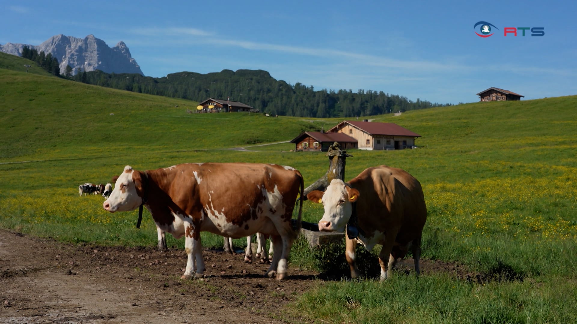 32-almwirtschaftstagung-in-saalfelden-zukunft-der-almen-im-fokus
