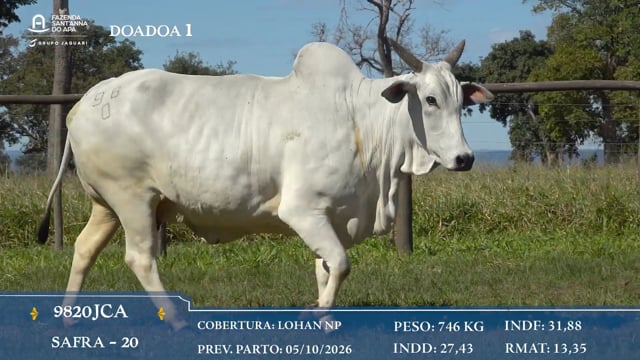 Doadora 1
