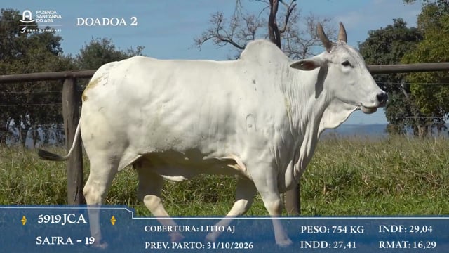 Doadora 2