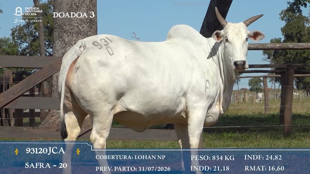 Doadora 3