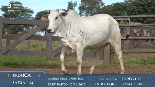 Doadora Jovem 1