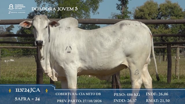 Doadora Jovem 5