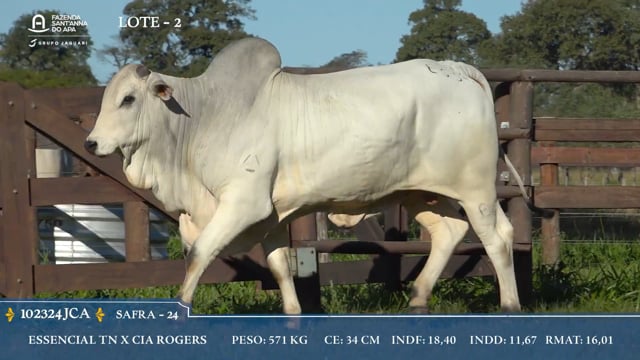 Lote 02