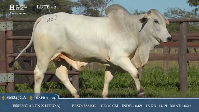 Lote 03