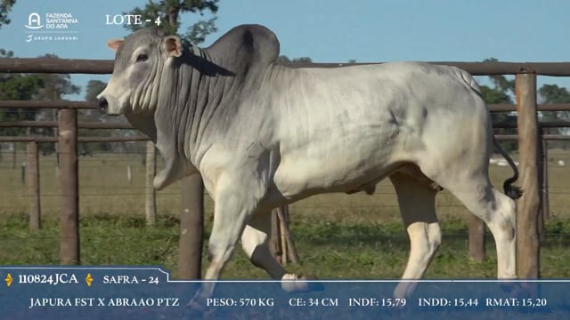 Lote 04