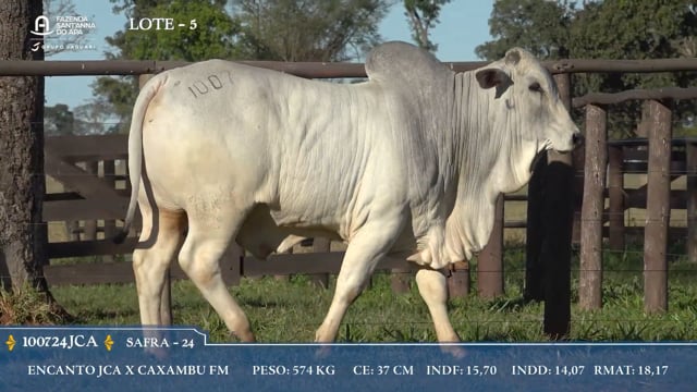 Lote 05