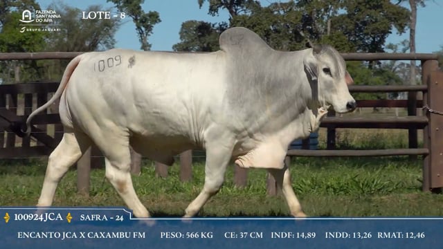 Lote 08