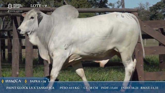 Lote 09