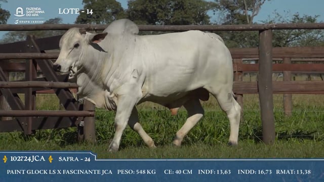 Lote 14