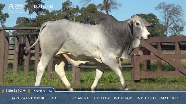 Lote 15