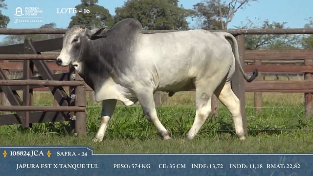 Lote 16