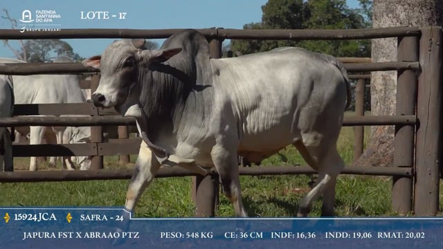 Lote 17