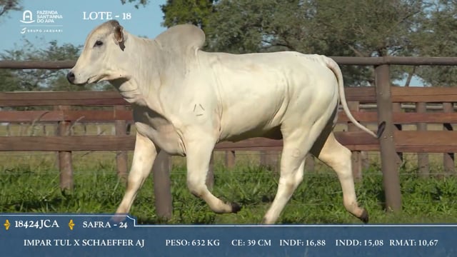 Lote 18