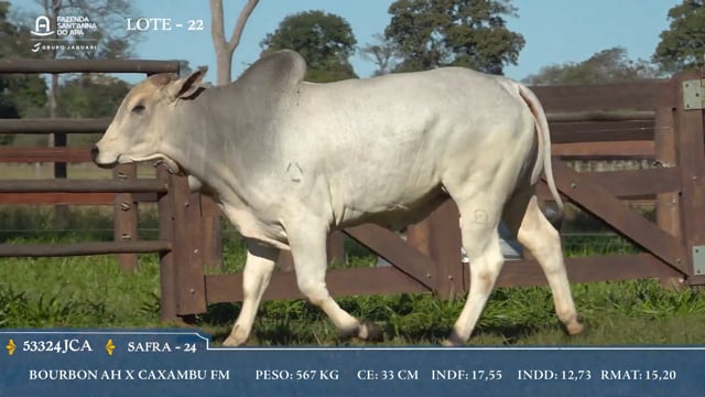 Lote 22