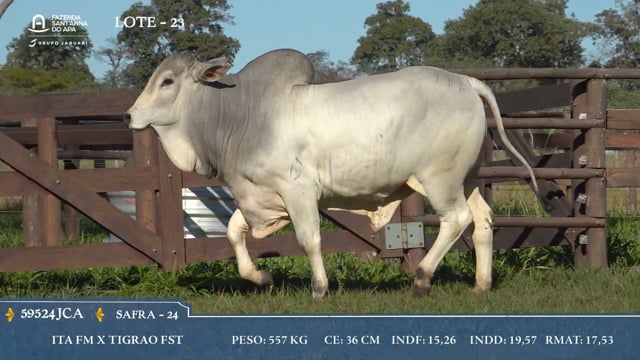 Lote 23