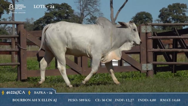 Lote 24