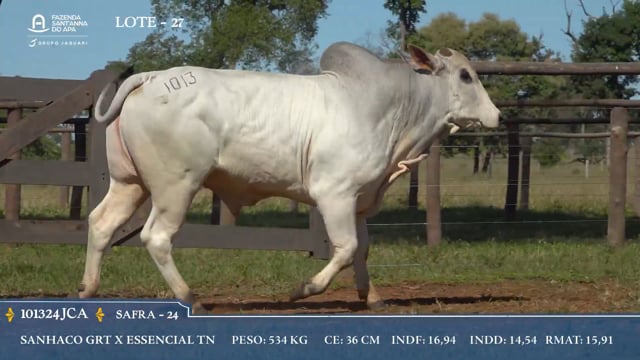 Lote 27