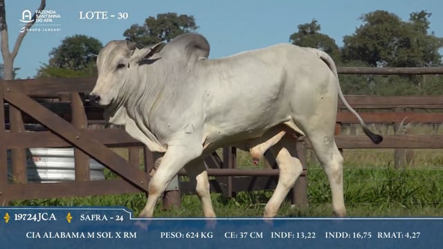 Lote 30