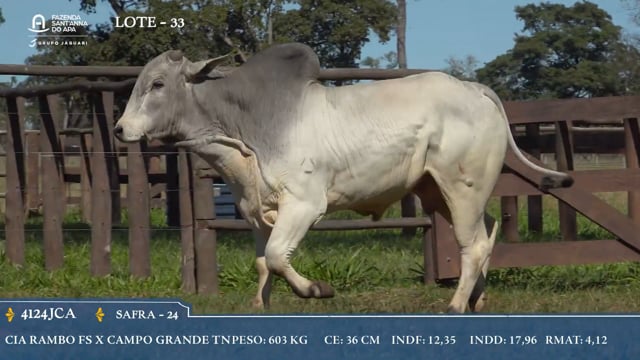 Lote 33