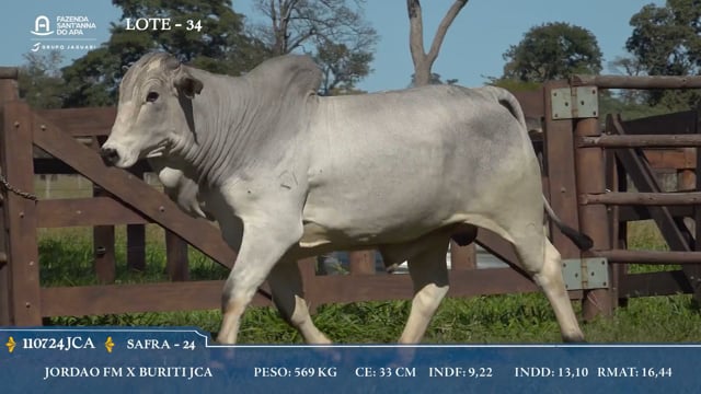 Lote 34