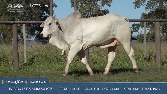 Lote 39