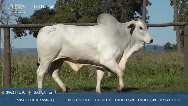 Lote 40