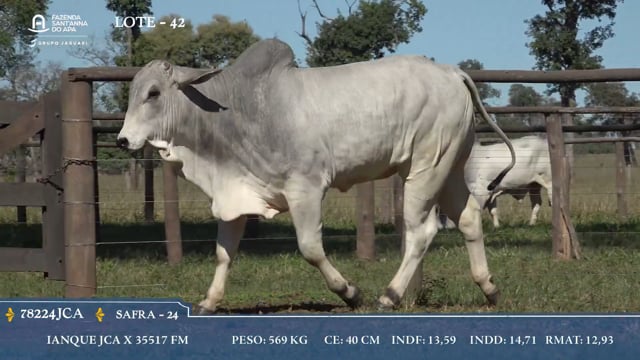Lote 42