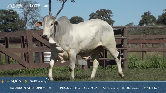 Lote 45
