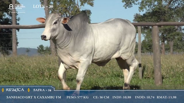 Lote 38
