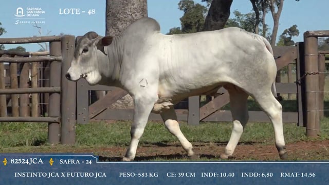 Lote 48