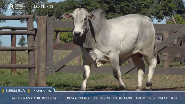 Lote 51