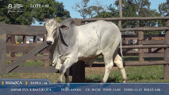 Lote 52