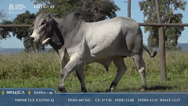 Lote 53