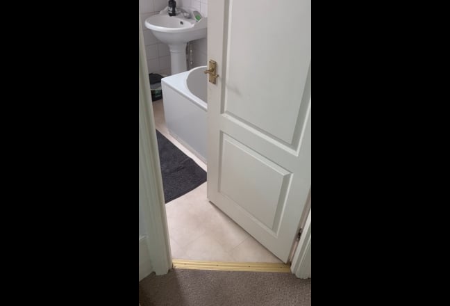 Bright Single room  Main Photo