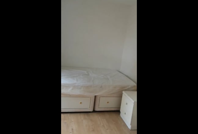 Video 1: Front view