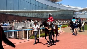 動画サムネイル