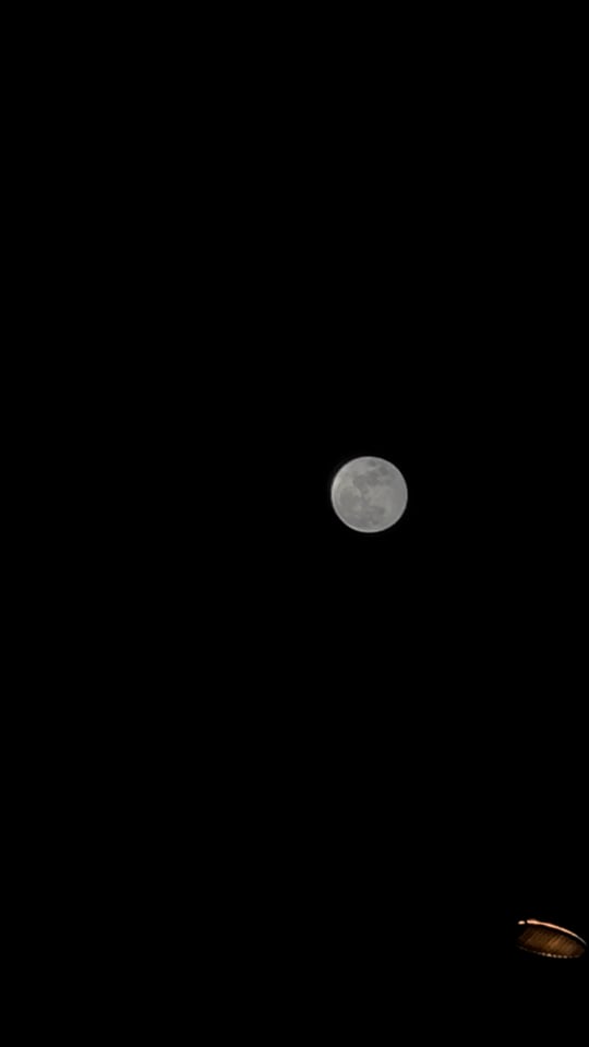 Moonin'
