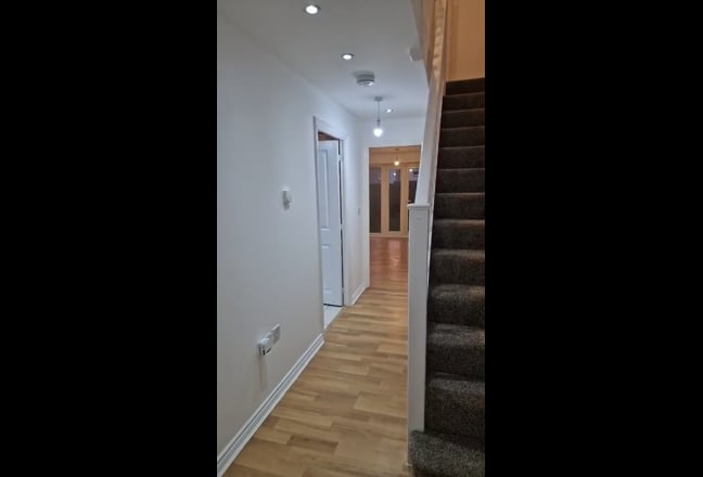 Video 1: 