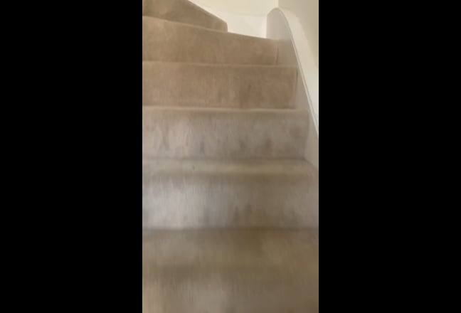 Video 1: 