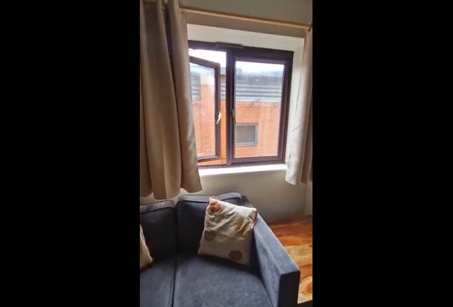 Video 1: 