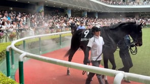動画サムネイル