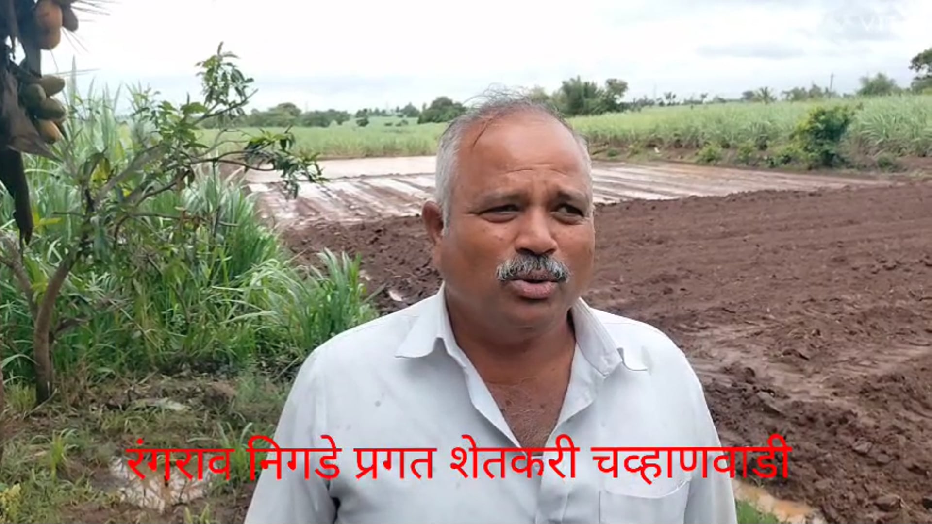 कोल्हापूर जिल्ह्यातील संतत धार धुवांधार कोसळणारा पाऊसामुळे शेतीची मशागत कामे करण्यात व्यस्त.