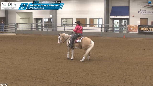 #547 Addison Grace Mitchell