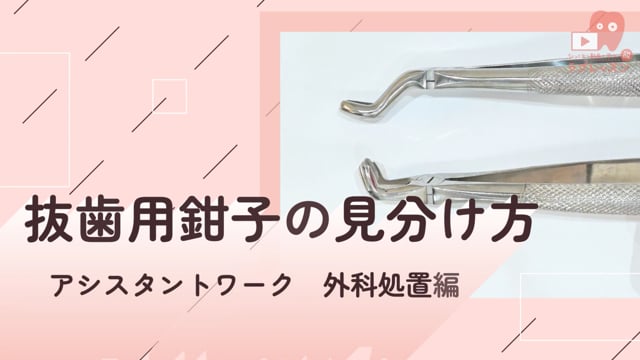 01.抜歯用鉗子の見分け方