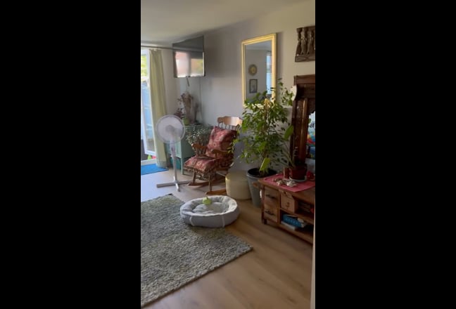 Video 1: 